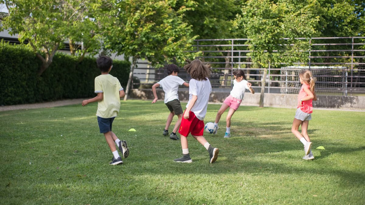 Group of kids having fun playing soccer on a grassy field on a sunny day.